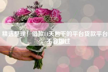 精选整理！借款14天包下的平台贷款平台，不容错过
