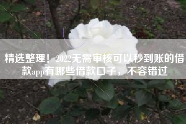 精选整理！2022无需审核可以秒到账的借款app有哪些借款口子，不容错过