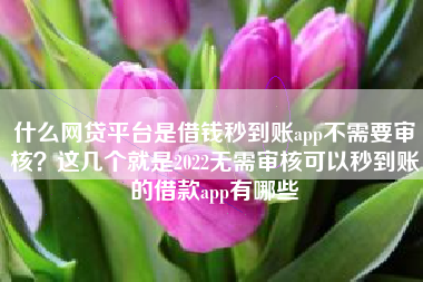 什么网贷平台是借钱秒到账app不需要审核？这几个就是2022无需审核可以秒到账的借款app有哪些
