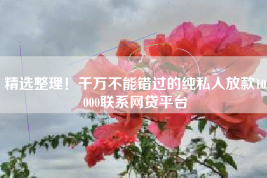 精选整理！千万不能错过的纯私人放款10000联系网贷平台