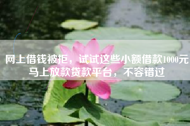 网上借钱被拒，试试这些小额借款1000元马上放款贷款平台，不容错过