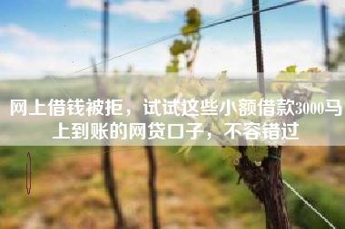 网上借钱被拒，试试这些小额借款3000马上到账的网贷口子，不容错过