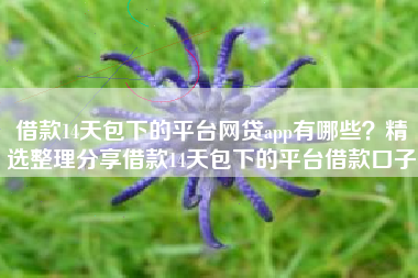 借款14天包下的平台网贷app有哪些？精选整理分享借款14天包下的平台借款口子