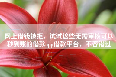 网上借钱被拒，试试这些无需审核可以秒到账的借款app借款平台，不容错过