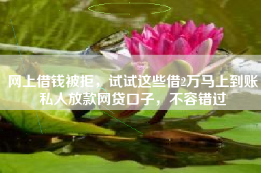 网上借钱被拒，试试这些借2万马上到账私人放款网贷口子，不容错过