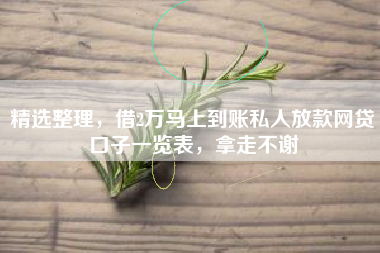 精选整理，借2万马上到账私人放款网贷口子一览表，拿走不谢