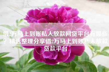 借2万马上到账私人放款网贷平台有哪些？精选整理分享借2万马上到账私人放款贷款平台