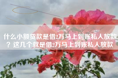 什么小额贷款是借2万马上到账私人放款？这几个就是借2万马上到账私人放款