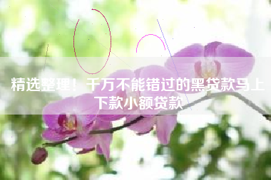 精选整理！千万不能错过的黑贷款马上下款小额贷款