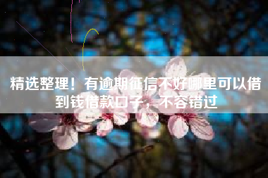 精选整理！有逾期征信不好哪里可以借到钱借款口子，不容错过