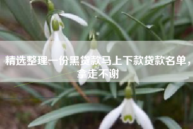 精选整理一份黑贷款马上下款贷款名单，拿走不谢