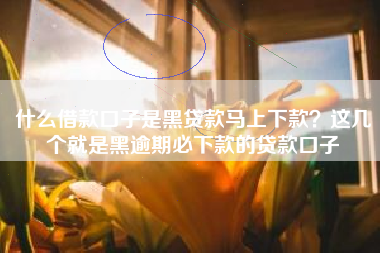 什么借款口子是黑贷款马上下款？这几个就是黑逾期必下款的贷款口子