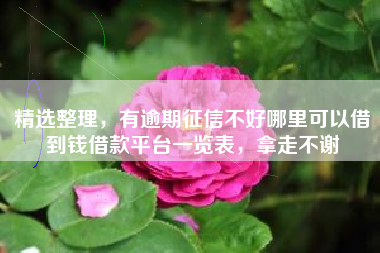 精选整理，有逾期征信不好哪里可以借到钱借款平台一览表，拿走不谢