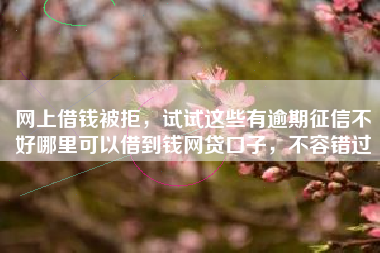 网上借钱被拒，试试这些有逾期征信不好哪里可以借到钱网贷口子，不容错过