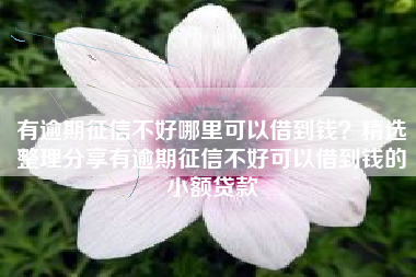有逾期征信不好哪里可以借到钱？精选整理分享有逾期征信不好可以借到钱的小额贷款