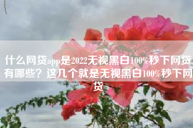 什么网贷app是2022无视黑白100%秒下网贷有哪些？这几个就是无视黑白100%秒下网贷