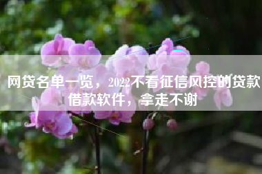 网贷名单一览，2022不看征信风控的贷款借款软件，拿走不谢