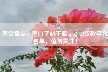网贷盘点，黑口子必下款app2022贷款平台名单，值得关注！