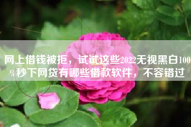 网上借钱被拒，试试这些2022无视黑白100%秒下网贷有哪些借款软件，不容错过