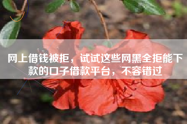 网上借钱被拒，试试这些网黑全拒能下款的口子借款平台，不容错过