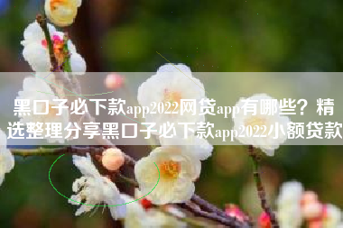 黑口子必下款app2022网贷app有哪些？精选整理分享黑口子必下款app2022小额贷款