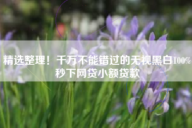 精选整理！千万不能错过的无视黑白100%秒下网贷小额贷款