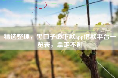 精选整理，黑口子必下款app借款平台一览表，拿走不谢
