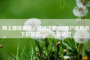 网上借钱被拒，试试这些2022黑户逾期必下款贷款app，不容错过