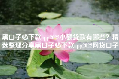 黑口子必下款app2022小额贷款有哪些？精选整理分享黑口子必下款app2022网贷口子