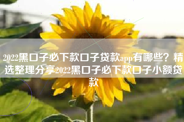 2022黑口子必下款口子贷款app有哪些？精选整理分享2022黑口子必下款口子小额贷款
