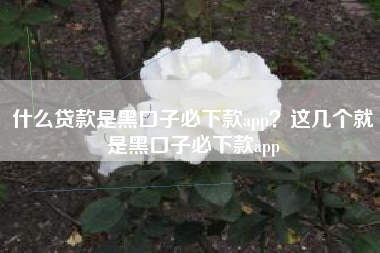 什么贷款是黑口子必下款app？这几个就是黑口子必下款app