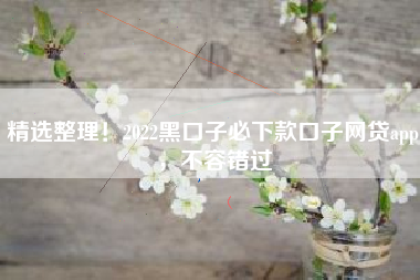 精选整理！2022黑口子必下款口子网贷app，不容错过
