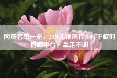 网贷名单一览，2021无视风控100%下款的借款平台，拿走不谢