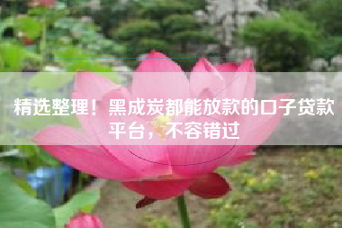 精选整理！黑成炭都能放款的口子贷款平台，不容错过