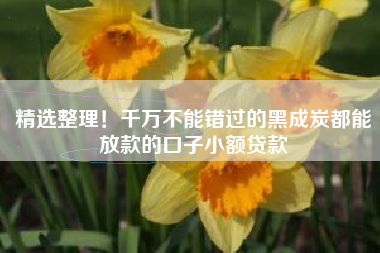 精选整理！千万不能错过的黑成炭都能放款的口子小额贷款