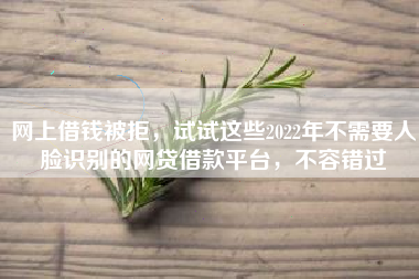 网上借钱被拒，试试这些2022年不需要人脸识别的网贷借款平台，不容错过