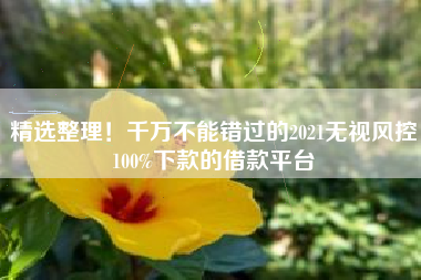 精选整理！千万不能错过的2021无视风控100%下款的借款平台