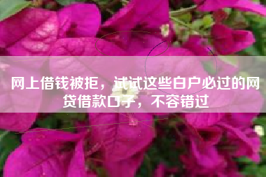 网上借钱被拒，试试这些白户必过的网贷借款口子，不容错过