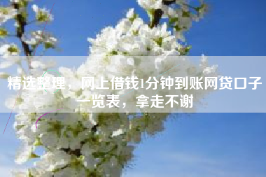 精选整理，网上借钱1分钟到账网贷口子一览表，拿走不谢