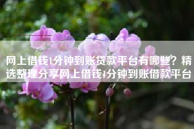 网上借钱1分钟到账贷款平台有哪些？精选整理分享网上借钱1分钟到账借款平台
