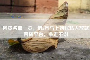 网贷名单一览，借2万马上到账私人放款网贷平台，拿走不谢