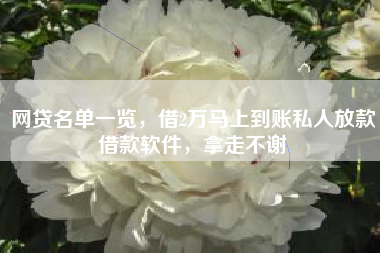 网贷名单一览，借2万马上到账私人放款借款软件，拿走不谢