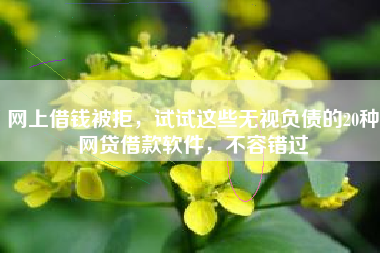 网上借钱被拒，试试这些无视负债的20种网贷借款软件，不容错过