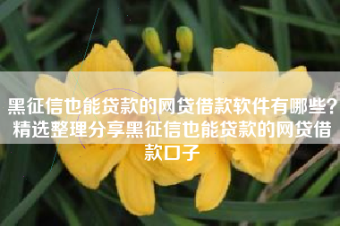 黑征信也能贷款的网贷借款软件有哪些？精选整理分享黑征信也能贷款的网贷借款口子