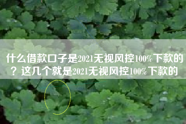 什么借款口子是2021无视风控100%下款的？这几个就是2021无视风控100%下款的