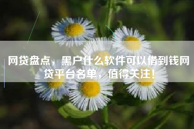 网贷盘点，黑户什么软件可以借到钱网贷平台名单，值得关注！