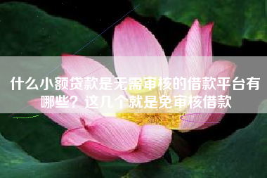什么小额贷款是无需审核的借款平台有哪些？这几个就是免审核借款