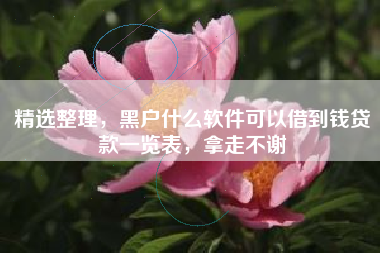 精选整理，黑户什么软件可以借到钱贷款一览表，拿走不谢