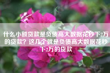 什么小额贷款是负债高大数据花秒下2万的贷款？这几个就是负债高大数据花秒下2万的贷款