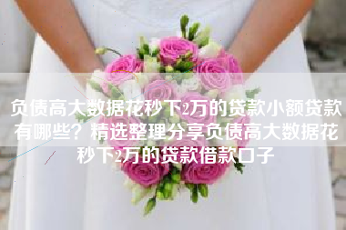负债高大数据花秒下2万的贷款小额贷款有哪些？精选整理分享负债高大数据花秒下2万的贷款借款口子